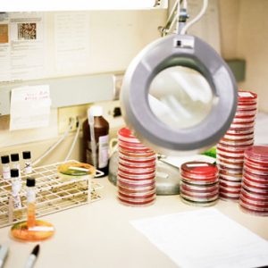 laboratory-services-guide-introduction-1