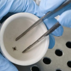 laboratory-services-guide-introduction-5
