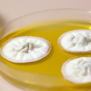 laboratory-services-guide-introduction-6