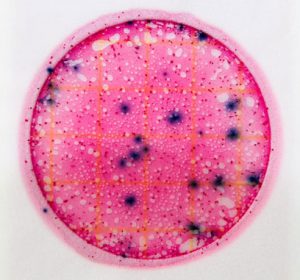 microbiology-lab-services-guide-carousel-4