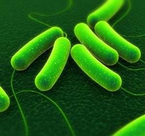 microbiology-lab-services-guide-carousel-5